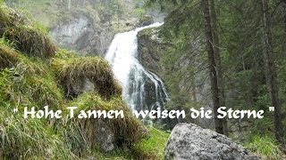 Hohe Tannen weisen die Sterne [upl. by Bowen]