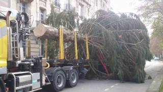 Arrivée du sapin de Noël 2016 dans le centre ville dEpinal [upl. by Norty]