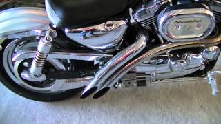 2003 Sportster 1200 Custom 100th Anniversary edition walk around [upl. by Ekihc13]