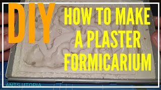 💡DIY👍 HOW TO MAKE A PLASTER FORMICARIUM [upl. by Allebara63]