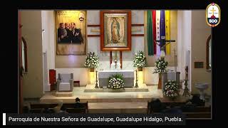 EN VIVO Celebración Eucarística Misa Votiva de la Sagrada Eucaristía [upl. by Genny419]