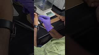 cockroach 🪳dissection✂️entomology lab🔬👩‍🔬 entomologyiariviralvideo [upl. by Aneeled]