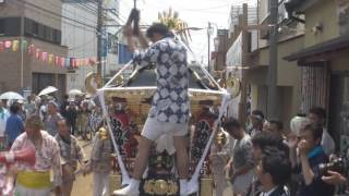 平成29年 鎌倉市腰越 小動神社 天王祭（神幸祭）相模神輿渡御（路面電車道） [upl. by Virginia611]