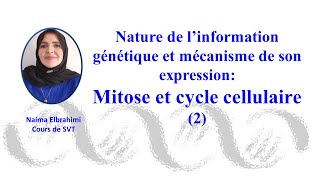 Cours SVT Bac Biof L’information génétique  Etapes de mitosecycle cellulaire 2Bac  1Bac SM [upl. by Ynobe]