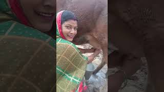 Li jiye bhaiya full video 2 [upl. by Quartas]