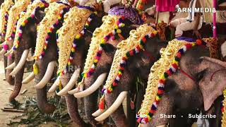 Tripunithura Utsavam 2018  Thirumunbil Melam  Peruvanam Kuttan Marar [upl. by Auqinu]