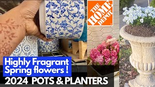 HOMEDEPOT Pots amp Planters 2024 Plantshopping amp Planting CANDYTUFT Flower [upl. by Callan]