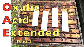 Extended Release Oxalic Acid Field Trials [upl. by Daniela]