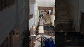 Rixos Premium Belek 5 Заселяемся belek [upl. by Fiel]