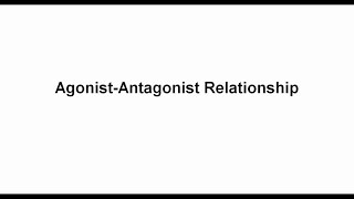 6 Agonist  Antagonist Relationship [upl. by Chan79]