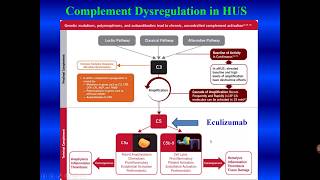 Thrombotic Microangiopathy [upl. by Maryrose668]