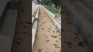 Sand walking track tranding viralvideo [upl. by Hildagarde]