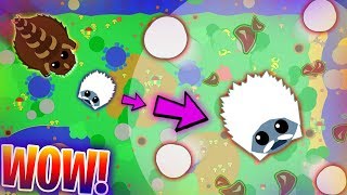 MOPEIO SECRET GLITCH  THE YETI FREEZES ENTIRE MAP Mopeio trolling [upl. by Lindy]