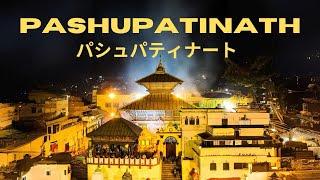 PASHUPATINAATH TEMPLE  hindu nepal kathmandu youtube hinduism 2024 nepaliyoutuber nepali [upl. by Flanigan]