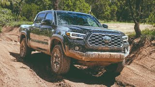 Stock Tacoma Offroading For The First Time [upl. by Cott]