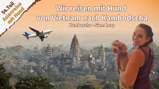 Wir reisen mit Hund von Vietnam nach Kambodscha ● Kambodscha ● Siem Reap ● Vlog 75 [upl. by Enilrad304]