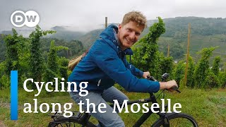 Cycling along the Moselle River  From TrabenTrarbach to Cochem  A Day at the Moselle River [upl. by Netti]