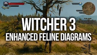 Witcher 3  ALL Enhanced Feline Diagram Locations Upgrade Armour and Weapons [upl. by Anitra144]