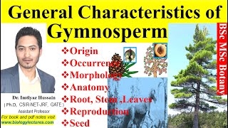 General characteristics of Gymnosperms gymnosperms  origin morphology anatomy root stem leaves [upl. by Kiel]