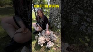 🔥Mushroom Explosion🔥shorts mushrooms foraging mushroomhunting [upl. by Hamilton]