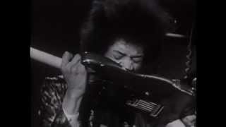 Jimi Hendrix Purple Haze Live lyrics [upl. by Ahtiuqal268]