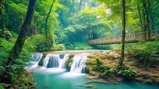 Relaxing Music For Stress Relief Anxiety and Depressive States • Heal Mind Body and Soul [upl. by Dnomaid]