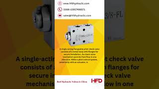 VRSLFL – SINGLEACTING FLANGEABLE PILOT CHECK VALVE  HFD Hydraulic hydraulicvalves [upl. by Niuqram135]