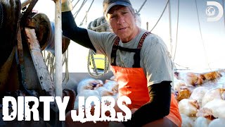 Mike Rowe Is Up to His Knees in Jellyfish  Dirty Jobs [upl. by Slrahc500]