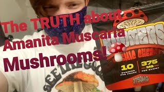 The TRUTH about the Amanita Muscaria Mushroom CRAZE Its not what you think [upl. by Chenee]