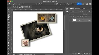 creating a functioning mood board in Photoshop using non destructive images [upl. by Voltz298]