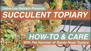 Succulent Topiary Design Ideas DIY amp Care Essentials [upl. by Cirek729]