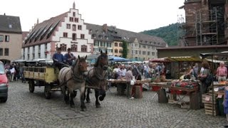 Freiburg Rundflug Altstadt Münster Schlossbergturm 4K Video [upl. by Attebasile]