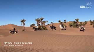 MAROC  Rando à cheval Magie du Sahara  Par Randocheval [upl. by Viviane12]