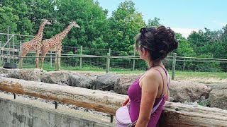 Visited Toronto Zoo Seeing Lovely Animals😍 ON 🇨🇦 Fri Aug 16 2024 [upl. by Cowles531]