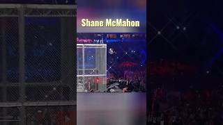 Shane McMahon vs Undertaker WrestleAlive wwe undertaker [upl. by Colinson]