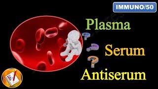 Plasma Serum and Antiserum FLImmuno50 [upl. by Ahsilahk]