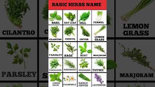 Basic herbs you should know  Types of herbs food short shortvideo [upl. by Meakem]