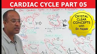 Cardiac Cycle  Systole amp Diastole  Dr Najeeb Part 58 [upl. by Yraht671]