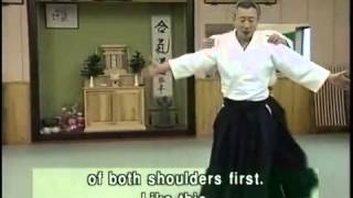 Shohei Juku Aikido  Suganuma Sensei Part 2 [upl. by Penrod901]