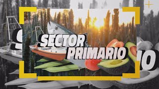 Sector Primario 27 de noviembre de 2024 27 11 24 [upl. by Mulloy]