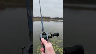 Shimano Curado DC sound [upl. by Gusty]