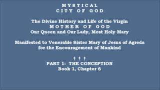 Book 1  Chapter 6  Mystical City of God Divine History amp Life of Mary Mother of God [upl. by Anirret]