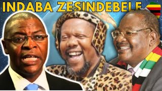 UMkhwanazi Ulolonga iApp Yolimi LweSiNdebele [upl. by Atsocal]