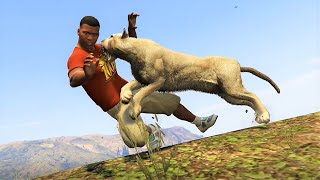 How to Survive a Cougar Attack in GTA V  defeating mountain lions in GTA V [upl. by Barling385]