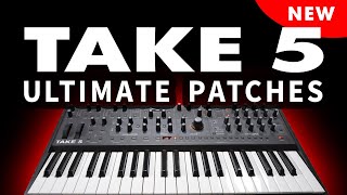 SEQUENTIAL TAKE 5  ULTIMATE PATCHES  The 333 NEW NextLevel Synth Sounds  Presets [upl. by Diet]