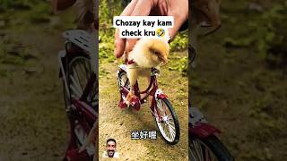 Chozay ne Cycle chlai  viral funny viralshort [upl. by Nhguav]