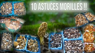 Cueillette de morilles Les 10 conseils qui vont faire la différence [upl. by Melita]