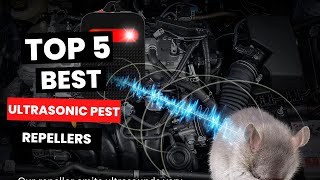 5 Best Ultrasonic Pest Repellers That Actually WORK [upl. by Sucramd314]