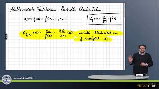 0177 Multivariate Funktionen partielle Elastizität [upl. by Gardel201]