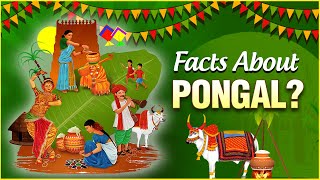 Interesting Facts amp Importance About Pongal  The Indian Harvest Festival  Pongal Festival 2022 [upl. by Frankel]